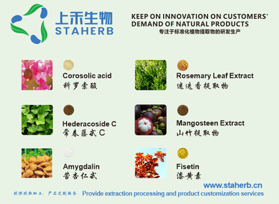綠原酸 天然綠色的多面手，工業植物提取引領健康新未來